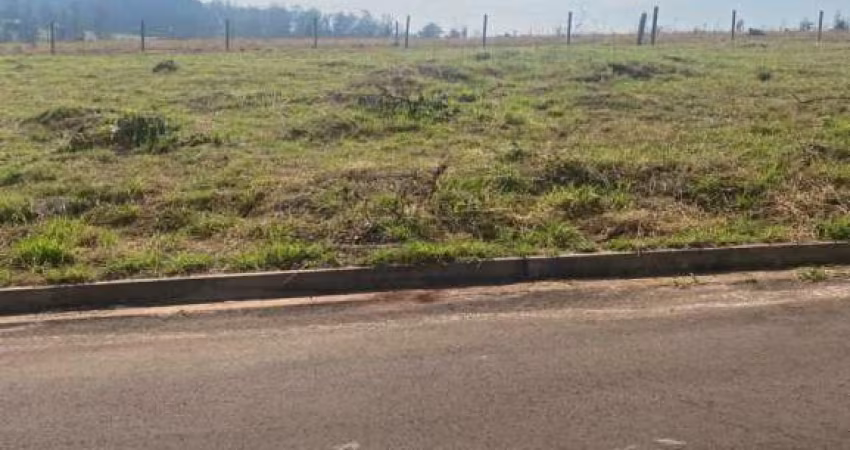 Terreno Padrão em São Carlos