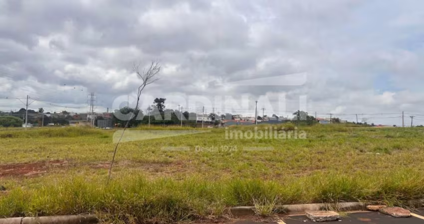 Comercial Terreno em São Carlos