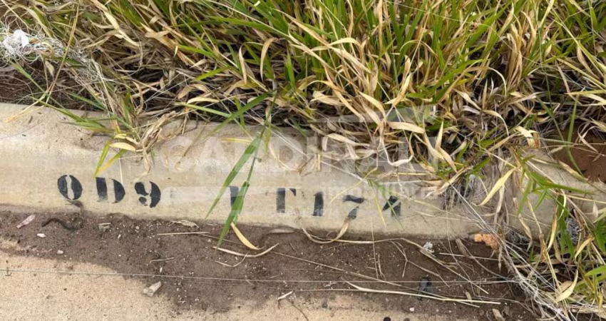 Terreno Padrão em São Carlos