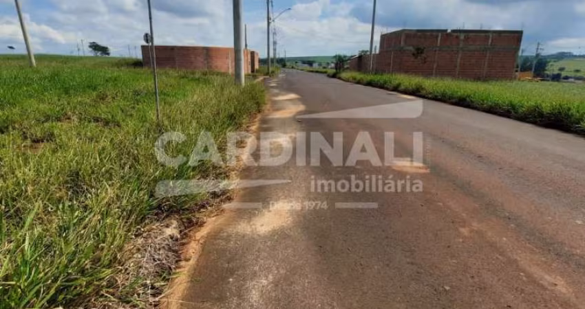 Terreno Padrão em São Carlos