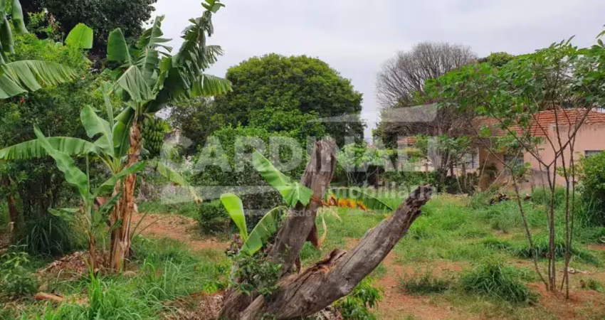 Terreno com ótima localização, próximo à escolas e comércio.