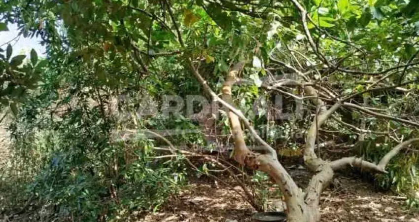 Terreno à venda na Rua Marechal Deodoro, 3942, Vila Faria, São Carlos