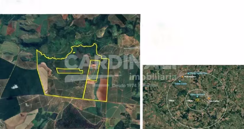 Fazenda à venda na SP 215, RODOVIA LUIZ AUGUSTO DE OLIVEIRA , KM 162, FAZENDA FELICISSIMA, S/N, Área Rural de São Carlos, São Carlos
