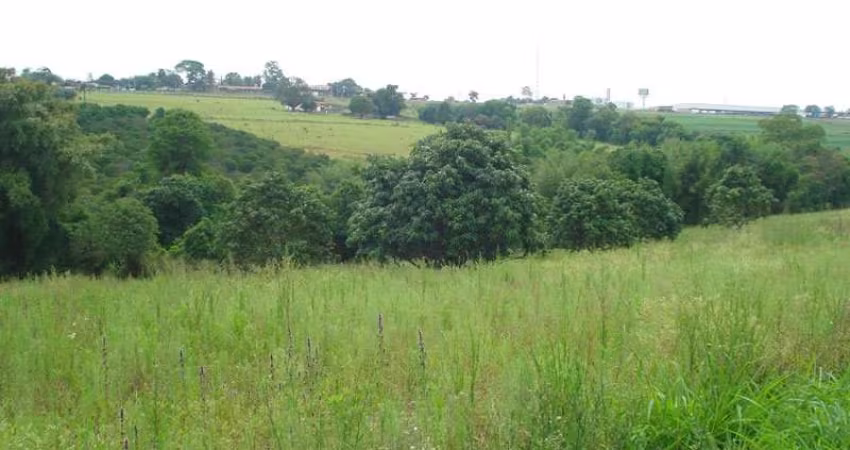 Terreno Padrão em Limeira