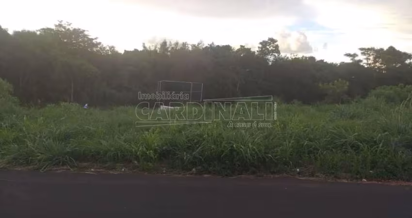 Terreno Padrão em Araraquara