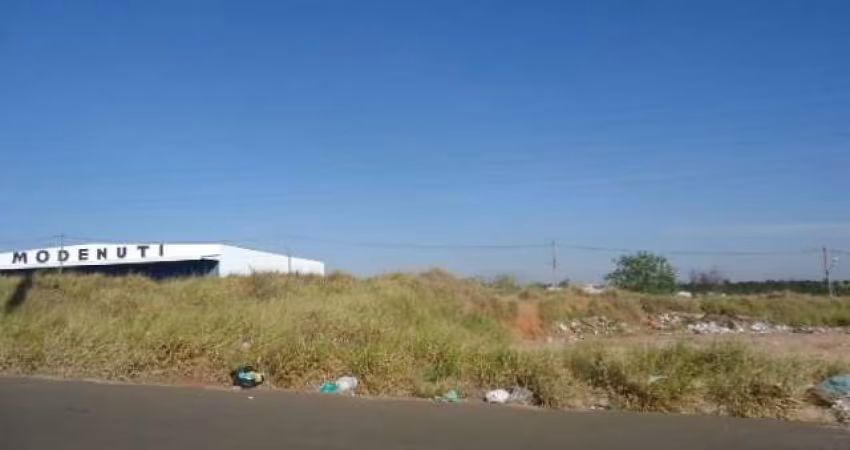 Terreno Padrão em São Carlos