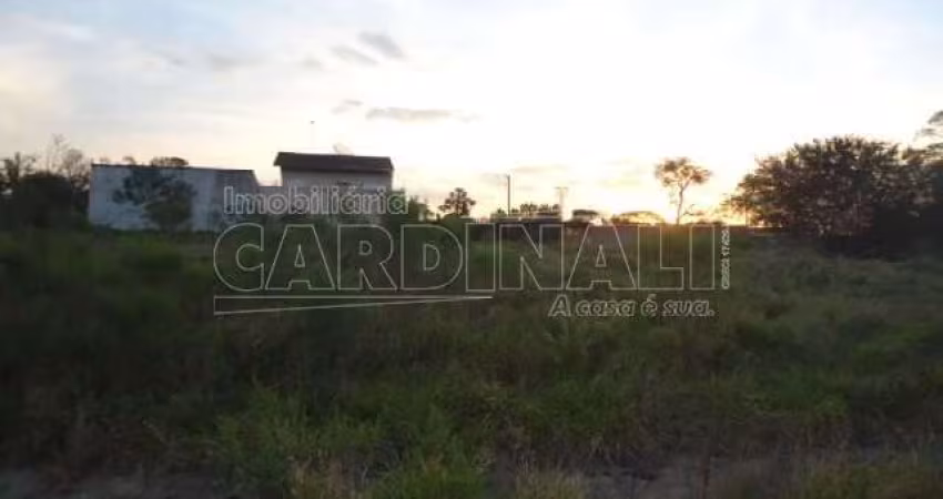 Terreno Padrão em São Carlos