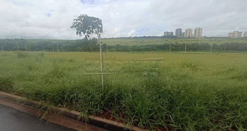 Terreno Padrão em São Carlos