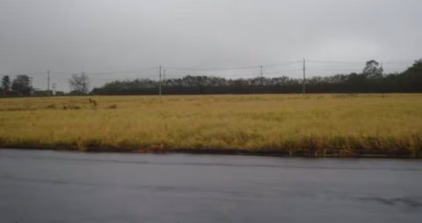 Terreno Padrão em São Carlos