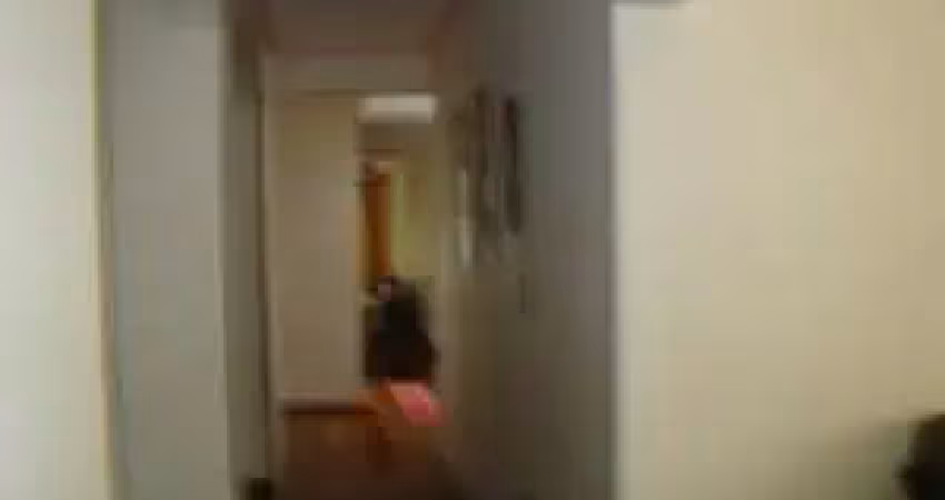 Casa Padrão em São Carlos