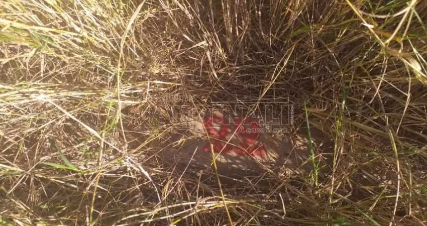 Terreno Padrão em São Carlos