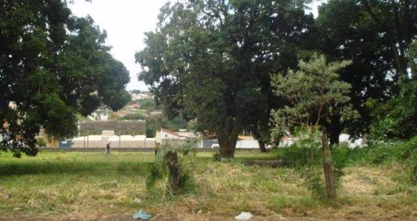 Terreno Padrão em São Carlos