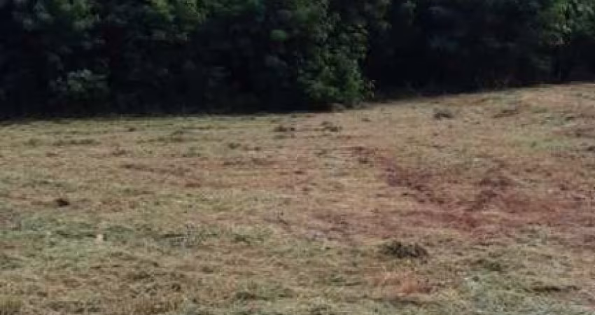 Terreno Padrão em Araraquara
