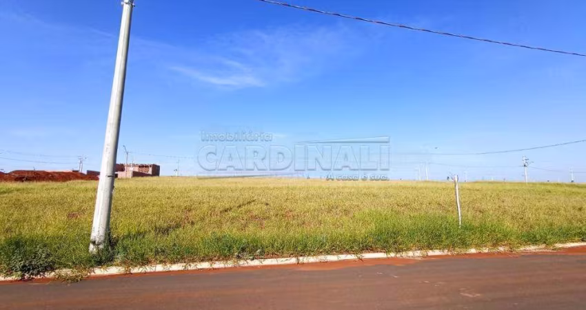 Terreno Padrão em São Carlos
