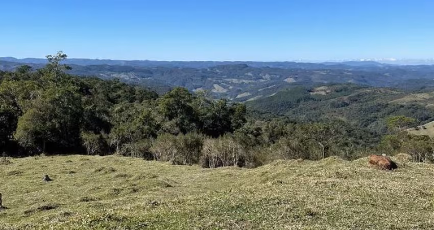 TERRENO A VENDA ANITÁPOLIS COM 20000 M²