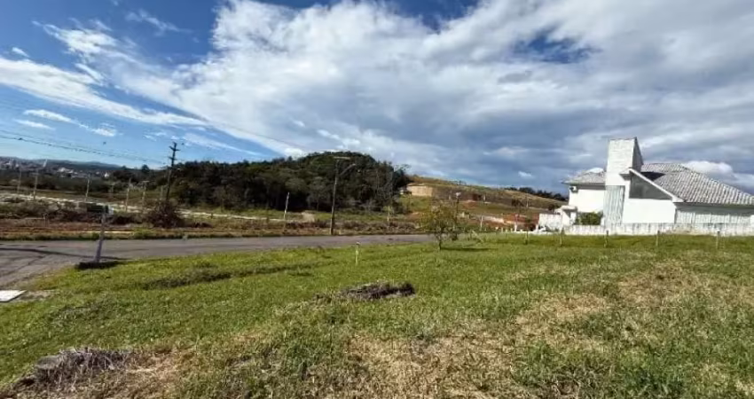 Terreno à venda na Rua das Laranjeiras, 1, Pedra Branca, Palhoça