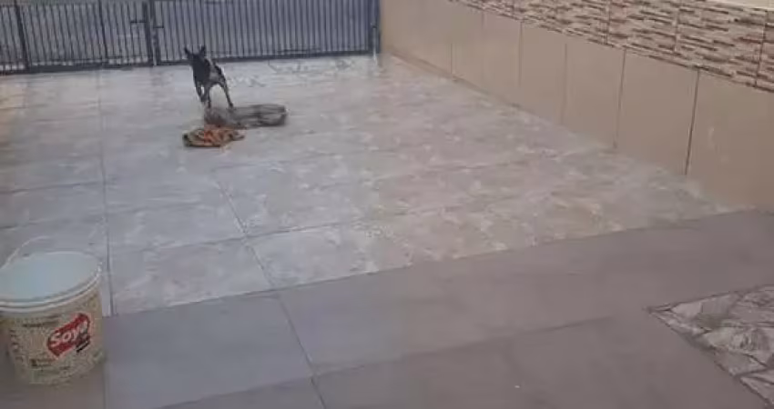 Casa com 3 quartos para alugar no Jardim Oliveira, Guarulhos 