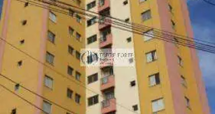Lindíssimo apartamento com 2 dormitórios 2 vagas de garagem na vila ré