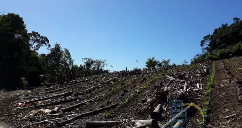 Terreno - Em rua, para Venda em São Francisco do Sul/SC