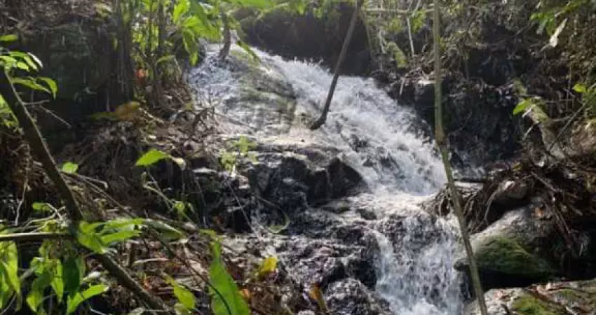 Chácara / sítio à venda no Centro (Rio Rosinha), Rio dos Cedros 