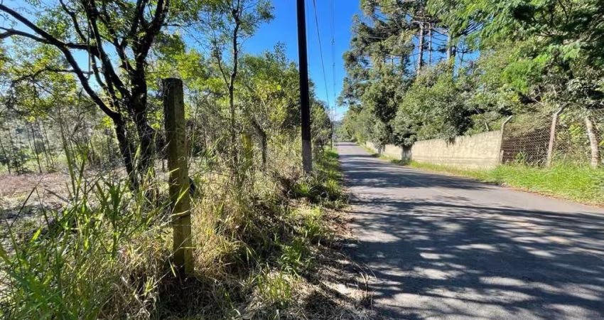 Terreno à venda no bairro Ferraria - Campo Largo/PR