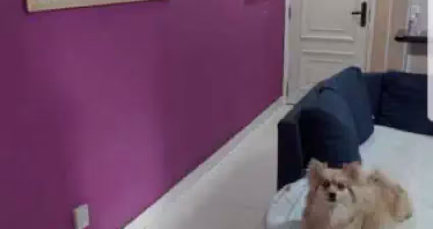 Apartamento com 2 quartos à venda na Rua São Paulo, Sé, São Paulo