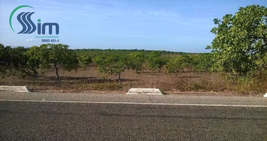 Terreno à venda, 98.000 m² por R$ 350.000 - Curimatã - Pacajús/CE