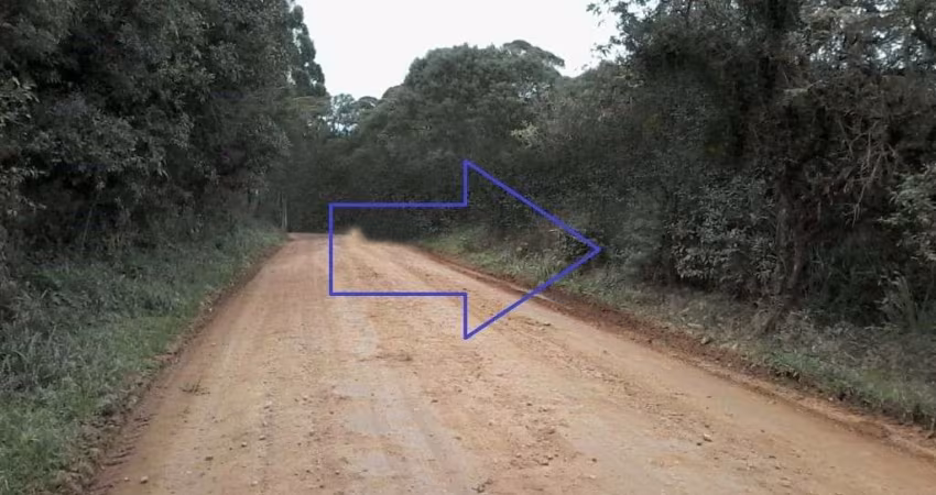 Área à venda, 48400 m² por R$ 1.100.000,00 - Área Rural de São José dos Pinhais - São José dos Pinhais/PR