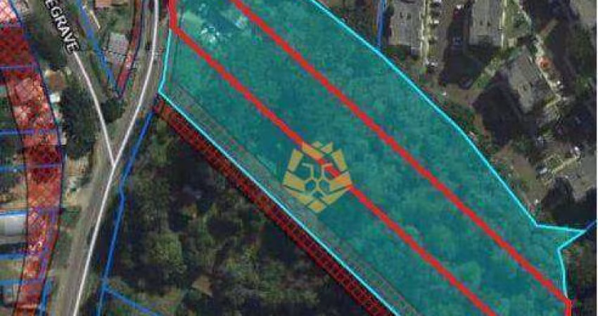 Terreno à venda, 10000 m² por R$ 7.000,000,00 na Anita Garibaldi - Curitiba/PR
