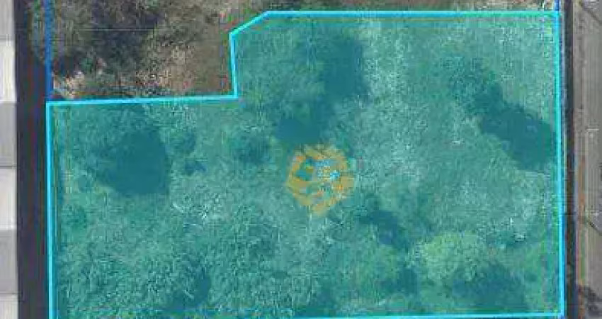 Terreno à venda, 3628 m² por R$ 4.173.000,00 - Capão Raso - Curitiba/PR