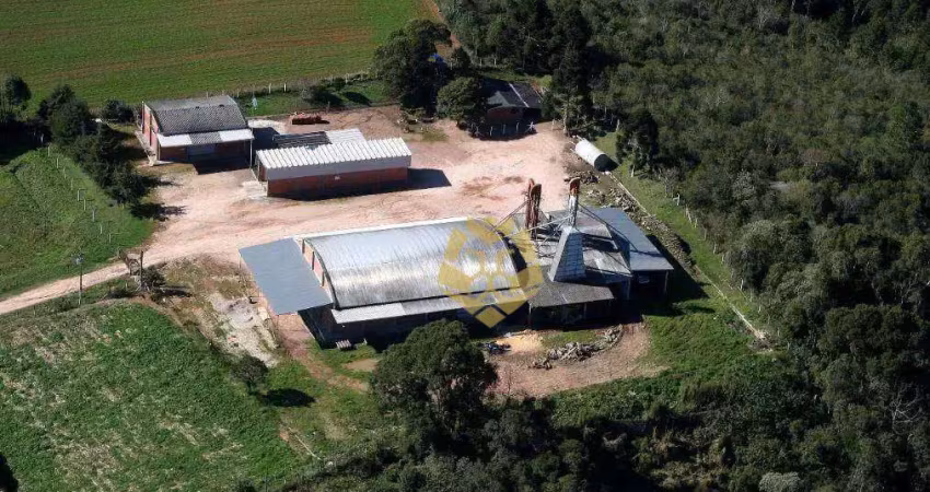 Barracão para alugar, 1700 m² por r$ 30.000,01/mês - zona rural - tijucas do sul/pr