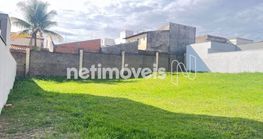 Terreno à venda na Avenida Lírio Correa, Parque Nova Carioba, Americana
