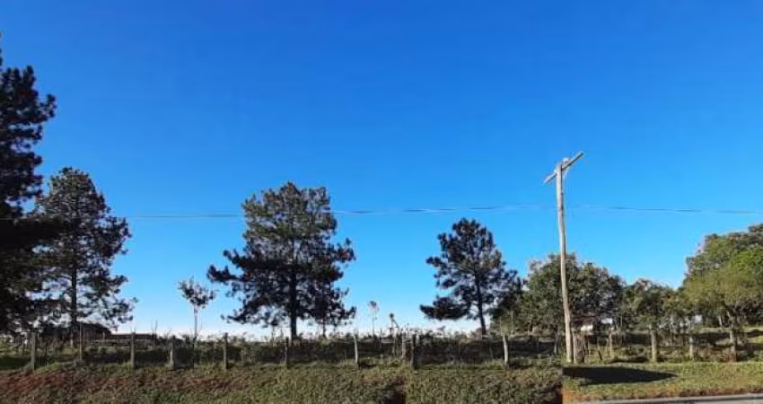 Vendo área frente para Raposo Tavares Itapetininga SP