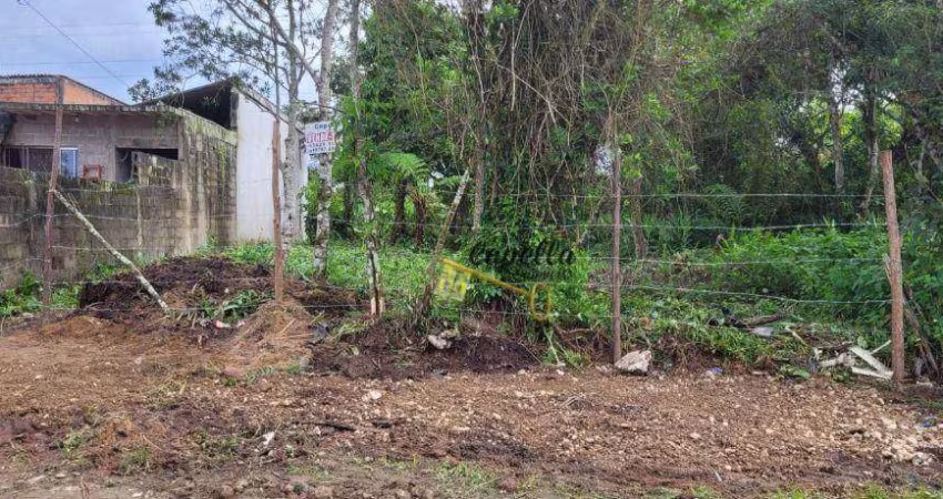 Terreno à venda, 260 m² por R$ 79.900,00 - Jardim das Palmeiras - Itanhaém/SP