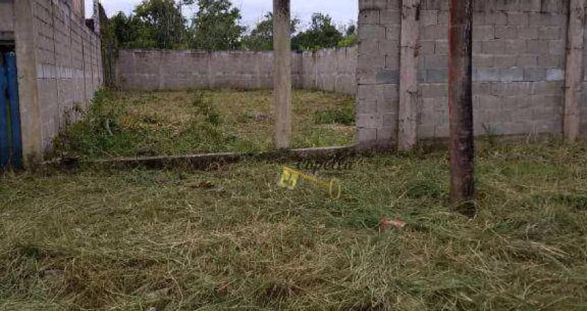 Terreno à venda, 287 m² por R$ 65.000,00 - Jardim Luizamar Mirim - Itanhaém/SP