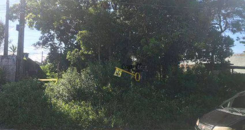 Terreno à venda, 336 m² por R$ 90.000 - Jardim das Palmeiras - Itanhaém/SP