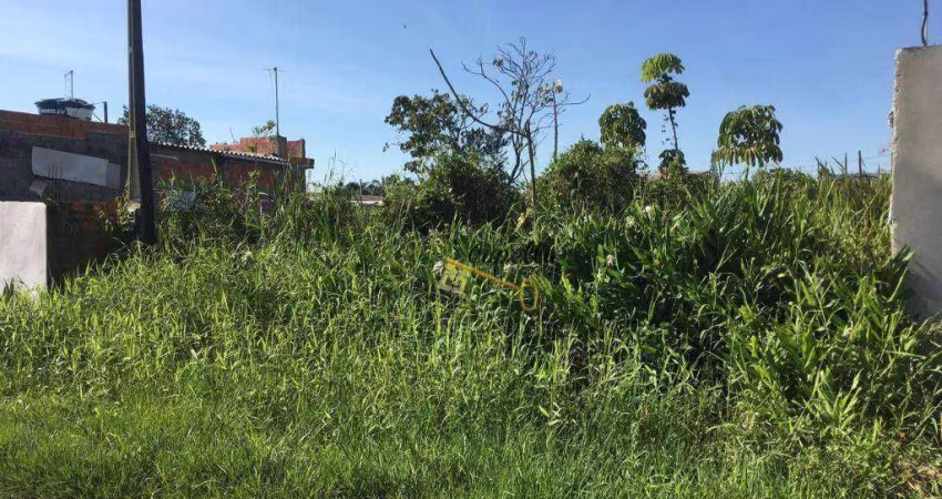 Terreno à venda, 286 m² por R$ 70.000,00 - Balneário Gaivota - Itanhaém/SP