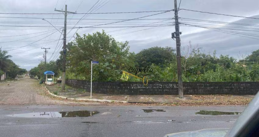 Terreno à venda, 290 m² por R$ 200.000,00 - Jardim Jamaica - Itanhaém/SP