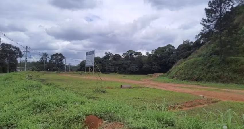 Terreno no zona industrial norte com 0 quartos para venda, 24732 m²