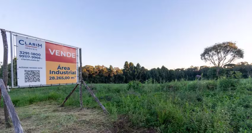 Terreno comercial à venda na Pr 423, 1, Botiatuva, Campo Largo