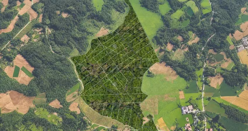 Terreno à venda na do Felpudo, 685, Guabiroba, Campo Largo