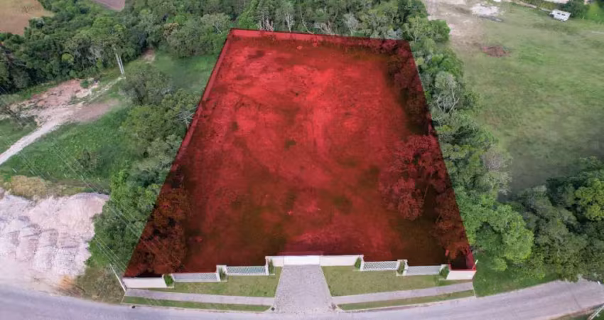 Terreno comercial para alugar na Rua Caetano Munhoz da Rocha, 2766, Guabiroba, Campo Largo