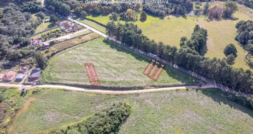 Terreno à venda na Joana Kulka Ripka, 2452, Mineiros, Balsa Nova