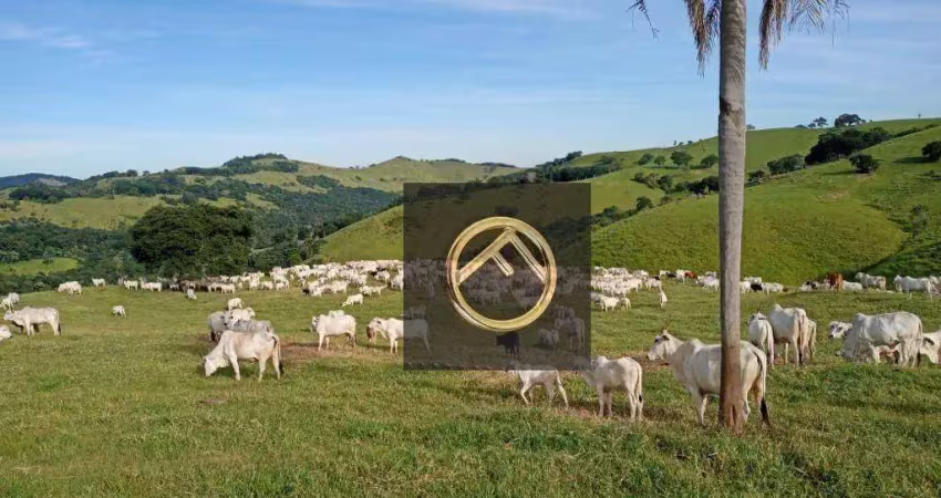 Fazenda à venda, 2928200 m² - guampará - marquinho/pr