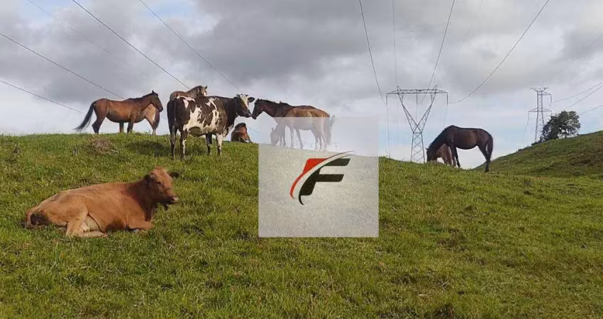Chácara com 3 dormitórios à venda, 363000 m² por r$ 1.300.000,00 - zona rural - tijucas do sul/pr