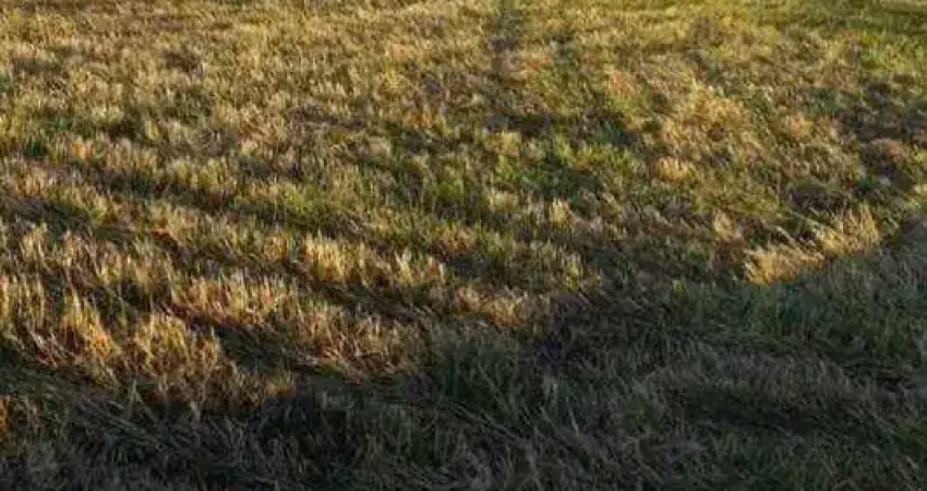 Fazenda à venda, 2758800 m² por r$ 30.000.000,00 - jardim vitória - turvo/pr