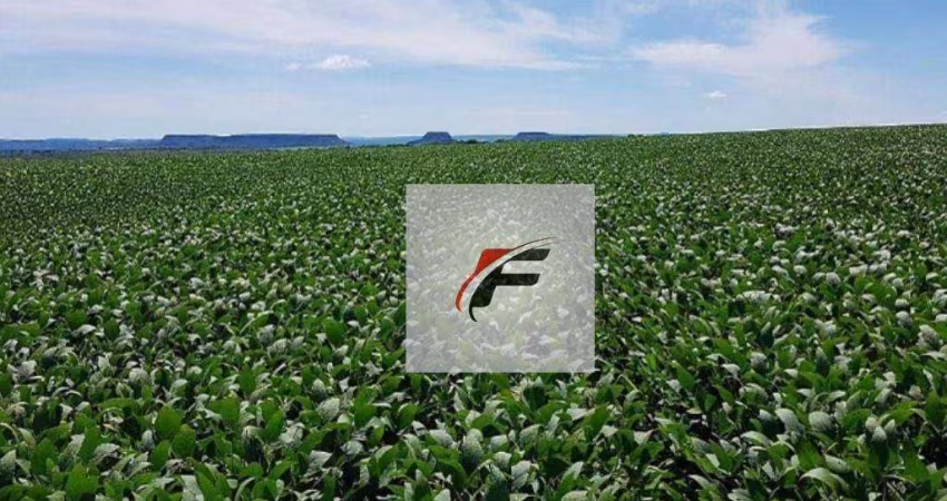 Fazenda à venda, 399300 m² por R$ 3.700.000,00 - Lapa - Mariental/PR