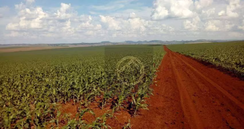 Fazenda à venda, 16431800 m² por r$ 260.000.000,00 - jardim lindóia - goioere/pr