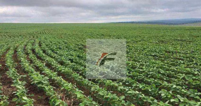 Fazenda à venda, 5783800 m² - centro - nova aurora/pr