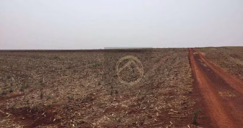 Fazenda à venda, 9825200 m² por r$ 49.000.000,00 - centro - tamarana/pr